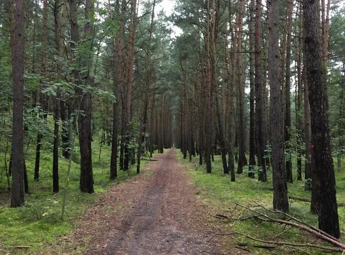 Balteus Apartamento *